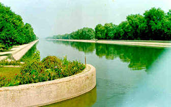 Production of Major Forest Produce in the State