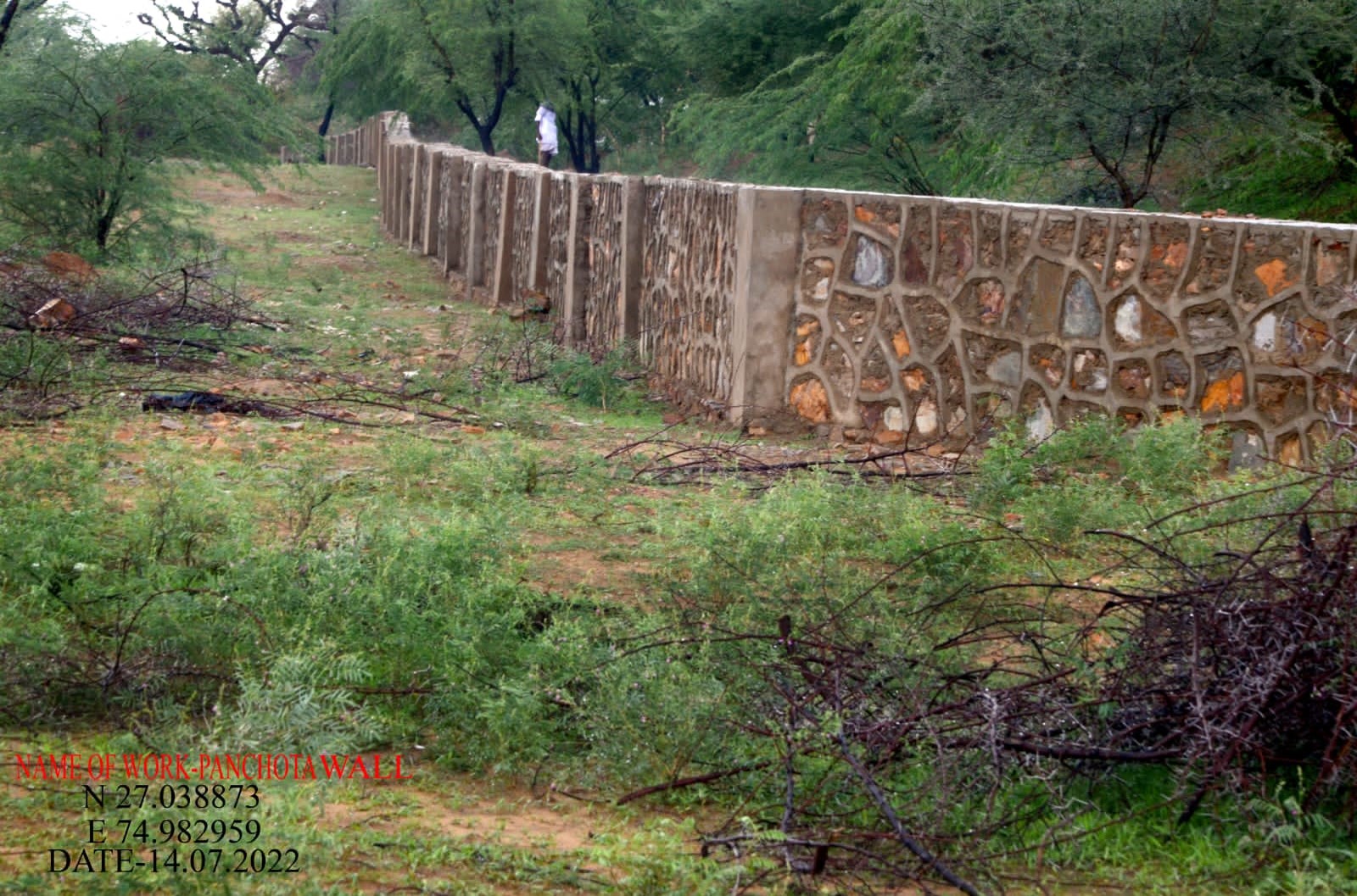 Eco-restoration pucca wall 4’ height at Panchota in Nagaur DivisionPicture%208.jpg