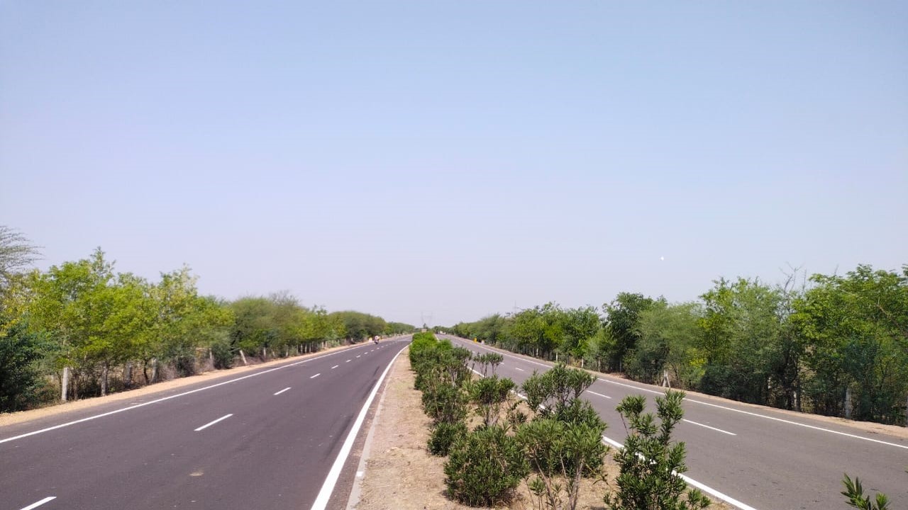 Road Side Plantation on NH-27 in Baran Forest DivisionPicture3.jpg