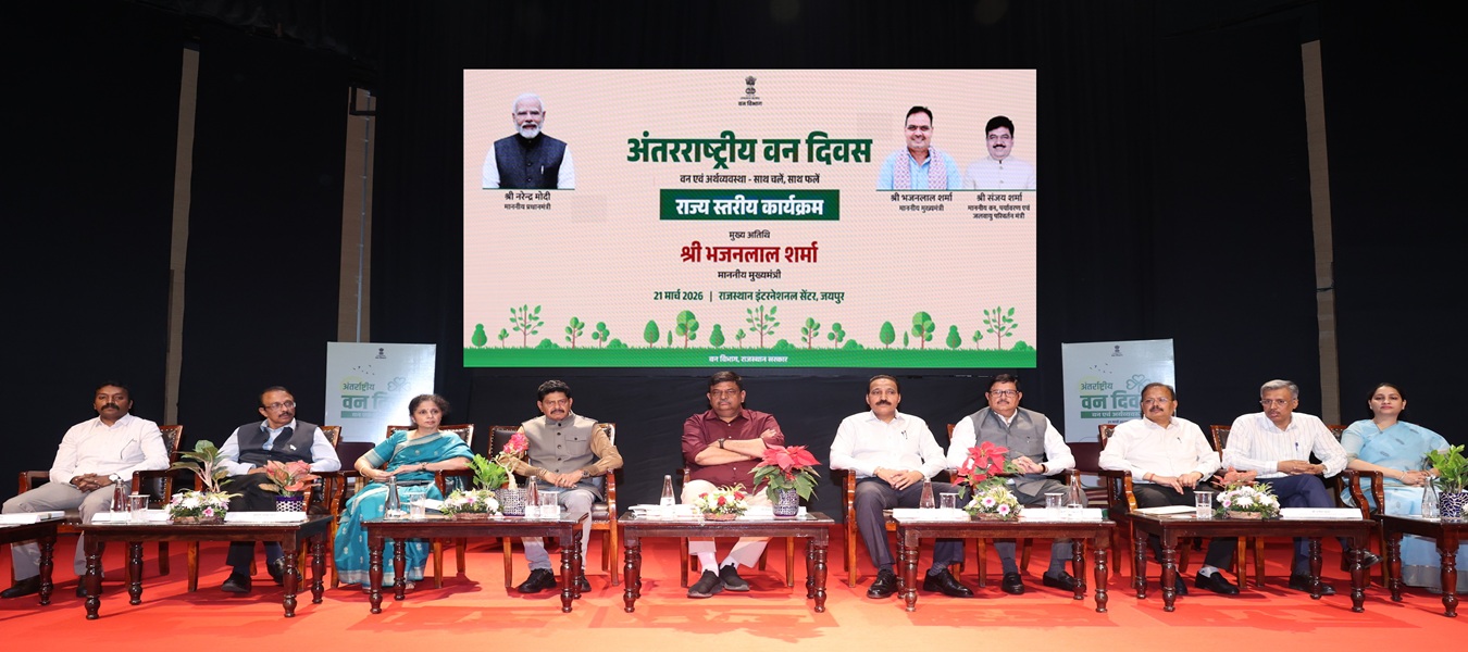 World Forestry DayInternational%20Forest%20Day1.jpg