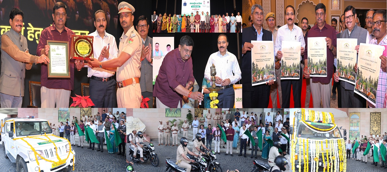 World Forestry DayInternational%20Forest%20Day_3.jpg