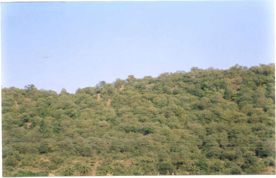 Development Projects