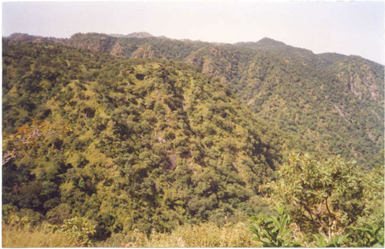 List of Depots run by Forest Department
