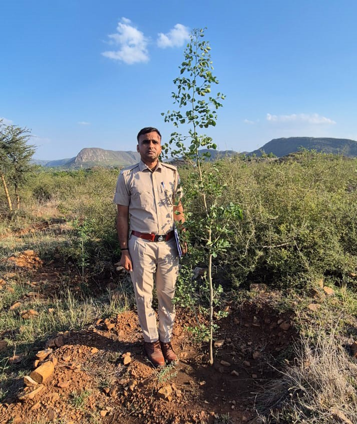 32kalapara%20alwar%20range%20thanagazi%20plantation%202025-26%20(2).jpg